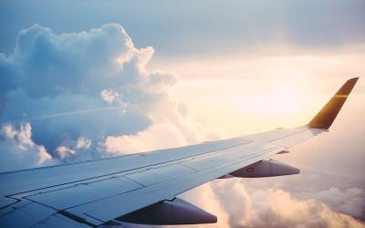 Plane Wing