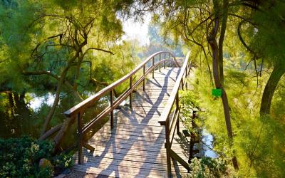 Vroclav   Japanese bridge in Botanical Garden