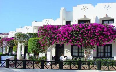 egiptas-sharm el sheikh-hadaba-Verginia-Sharm-Resort-territory