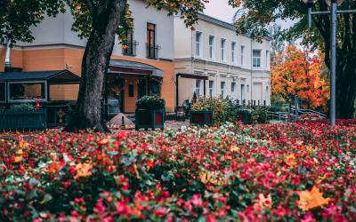 Druskininkai (aut.J.Šeibokas)