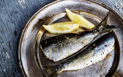 Graikija. Sardines