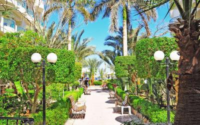 Egiptas. Hurgada. Bella Vista Hotel & Resort