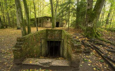 Hitlerio bunkeris, Vilko guolis