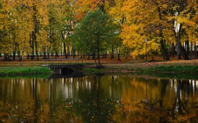 Paežerių parkas