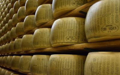 parmigiano reggiano