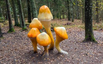 Tervete parkas   Latvija