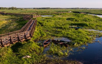 Pažintinis takas   Narew   Lenkija