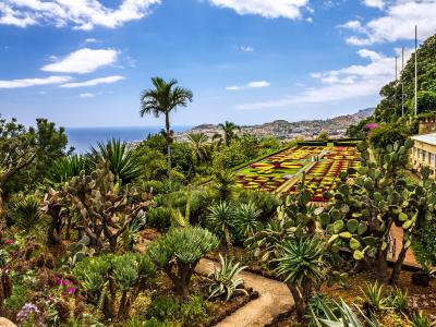 Botanikos sodas   Madeira