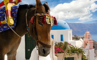 Santorini taxi