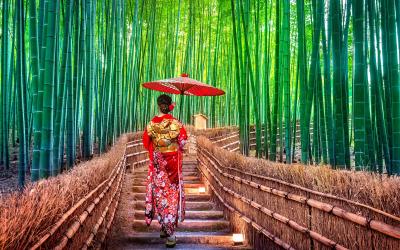 Bambuku miškas   Kioto   Japojia