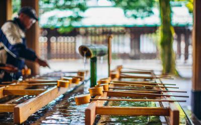 Meiji jingu   Japonija