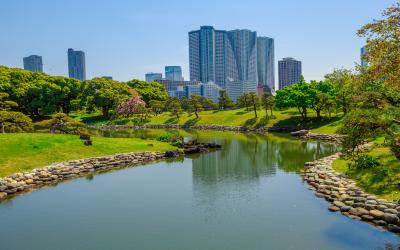 Hamarikyu   Tokijo   Japonija