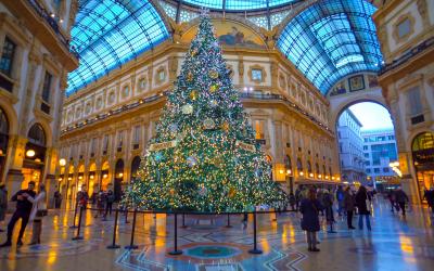 Swarovski kalėdų eglė   Milanas   Italija