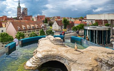 Stralsund oceanarium   Vokietija