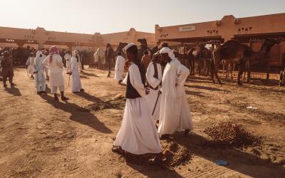 AL AIN Camel market   JAE