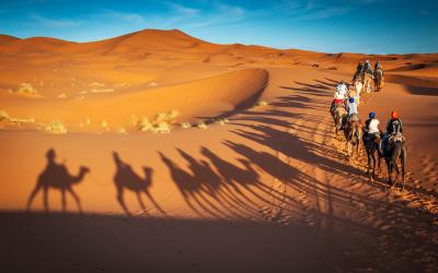 camels trekking guided safari tours   Marokas