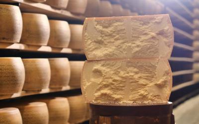 A cheesemaker controls the seasoning of the Parmesan cheese