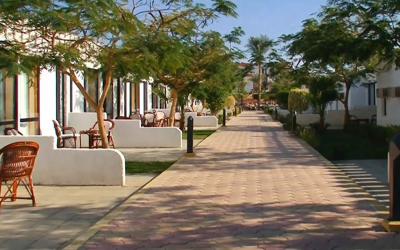 Albatros Sharm Resort  36