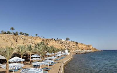 Albatros Sharm Resort  40