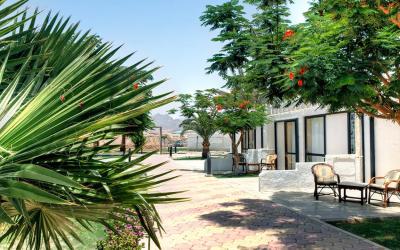 Albatros Sharm Resort  46