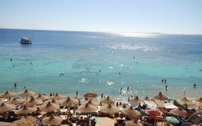 Dive Inn Resort 2