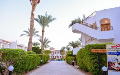 Dive Inn Resort 39