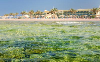 Barcelo Tiran Sharm 48