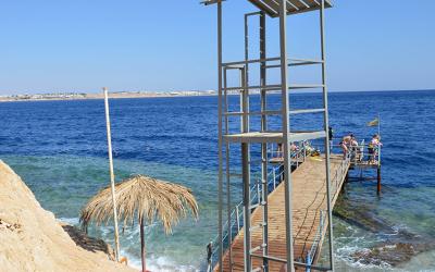 Club Reef 29