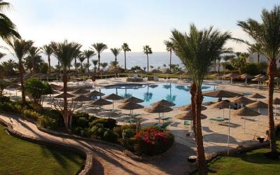Domina Coral Bay Oasis 36