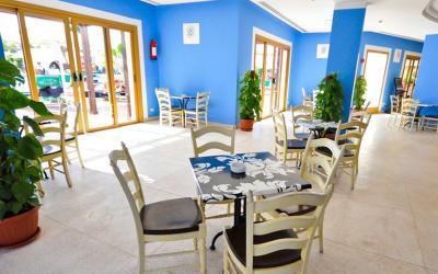 Domina Coral Bay Oasis 50