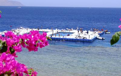 Domina Coral Bay Oasis 56