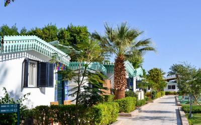 Ghazala Beach 15