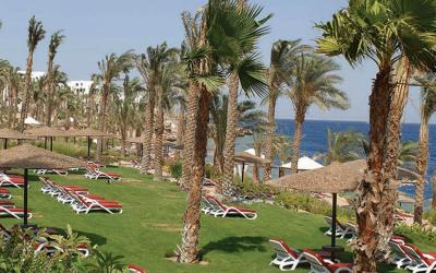 Grand Rotana Resort & Spa 15