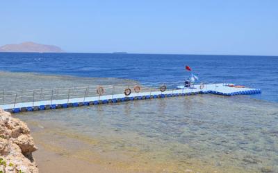 Grand Rotana Resort & Spa 65