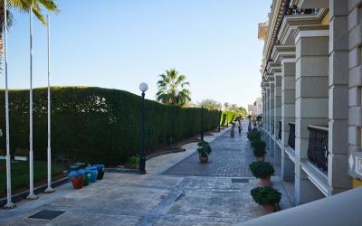 Il Mercato Hotel 24