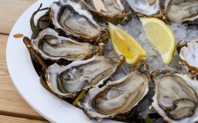 ysters molluscs shucked on ice with lemon ready to eat close up