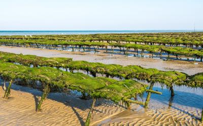 Normandy, France