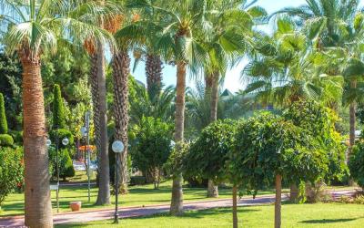 Lonicera Resort and Spa 17
