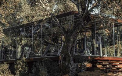 Cook's Club Corfu 12