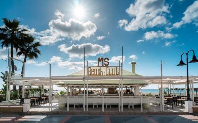 Ms Tropicana 19