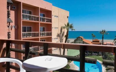 Ms Tropicana 20