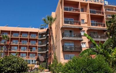 Ms Tropicana 1