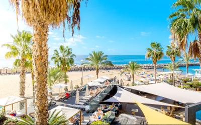Calheta Beach 25