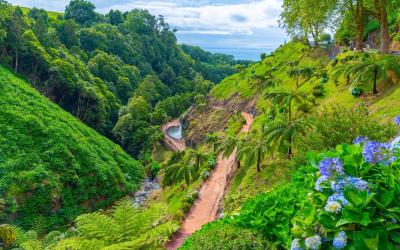 Ribeira dos Caldeiroes natural park at Sao Miguel island, Azores, Portugal.