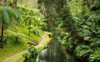 Lush vegetation and colorful plants of Terra Nostra botanical garden in Furnas, Azores