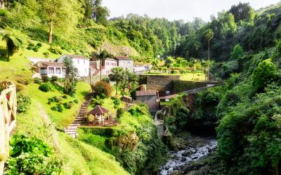 Ribeira dos Caldeiroes natural park at Sao Miguel island, Azores, Portugal.1