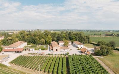 Rechstiner Estate(2)