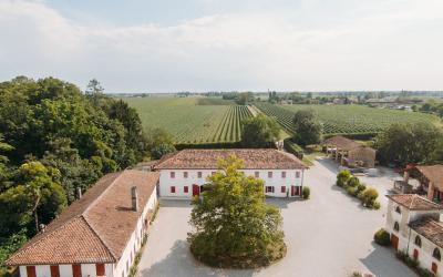 Rechstiner Estate(4)