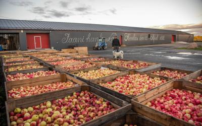 Jaanihanso cider factory