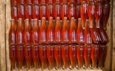 Jaanihanso bottled cider